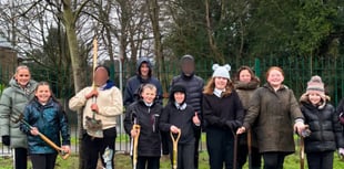 Eggar's pupils and Alton Town Council plant disease resistant elms