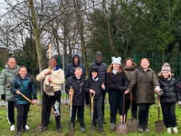 Eggar's pupils and Alton Town Council plant disease resistant elms