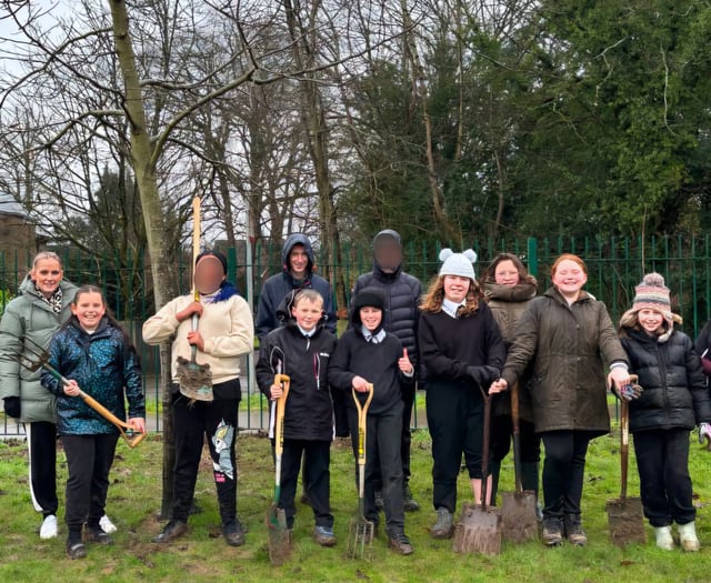 Eggar's pupils and Alton Town Council plant disease resistant elms