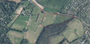 Bid to build 99 houses next to Ackender Woods on edge of Alton