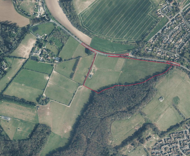 Bid to build 99 houses next to Ackender Woods on edge of Alton