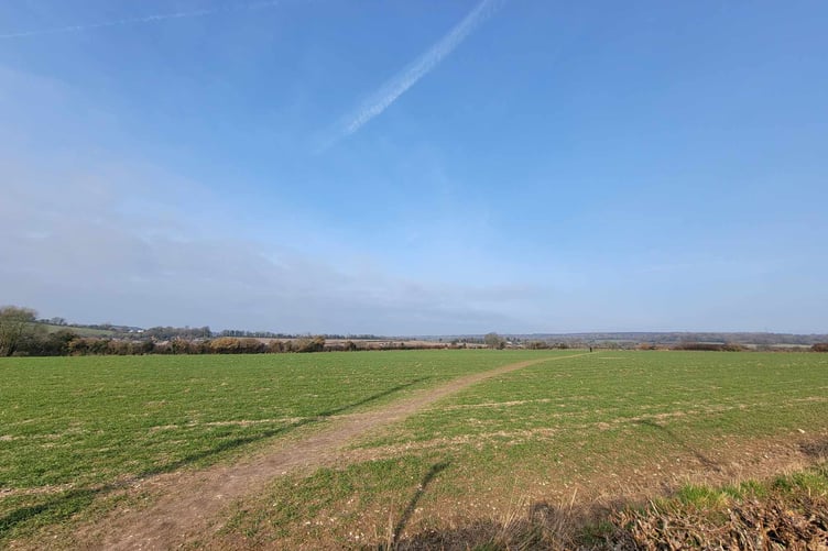 Meadows and fields, Sunderton Lane in Clanfield