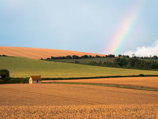 Photographer chases rainbows in the stunning South Downs