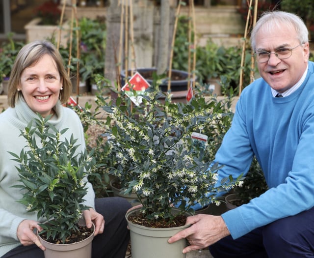 Squire’s Garden Centres unveils new botanical collection from Liss 