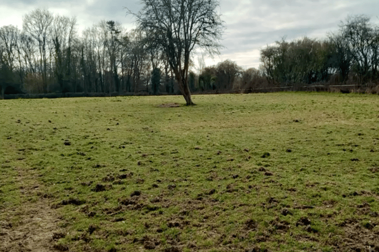 Land west of Beechlands Road, Medstead, March 2025.