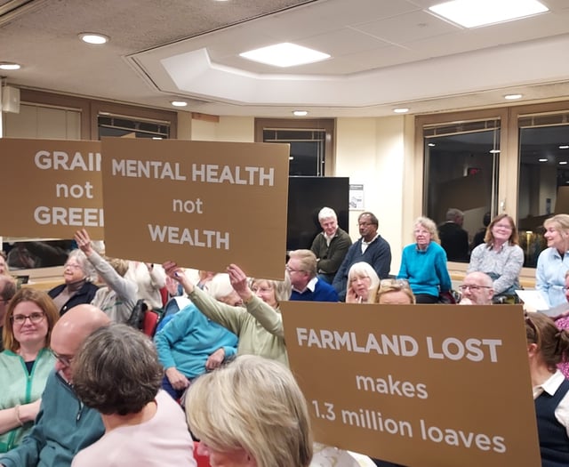 It hertz: Disappointment for villagers as solar farm approved