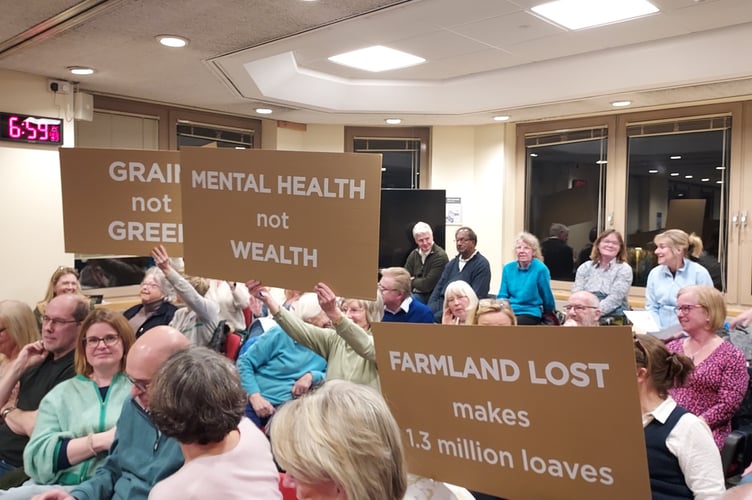 Long Sutton solar farm protest, Hart District Council development management committee meeting, Harlington Centre, Fleet, March 19th 2025.