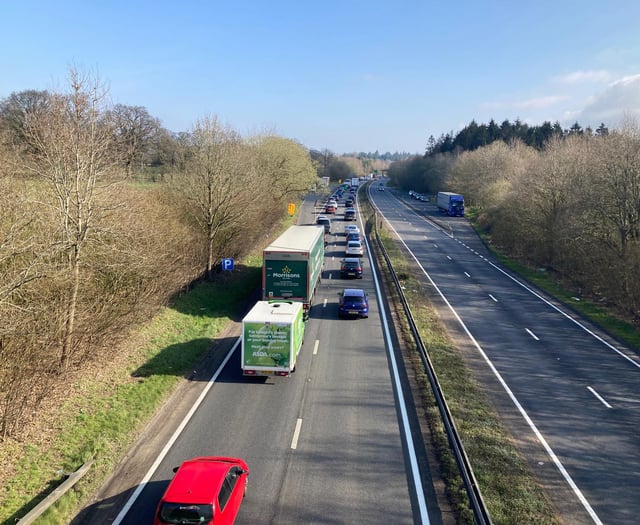 Police name pedestrian victim of A3 collision