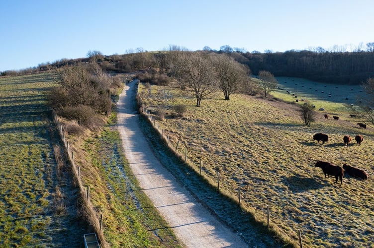 Refurbished path at Chanctonbury Ring,  Tim Kahane BMC