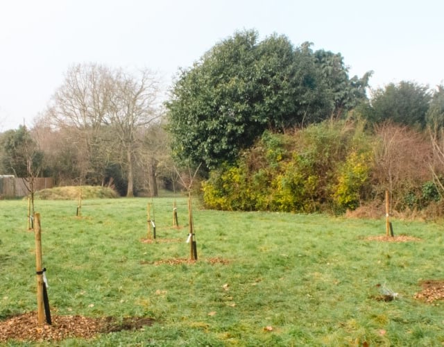 Man's body found in Liss park