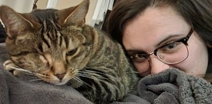 Woman with MS walks thousands of steps in search of missing cat