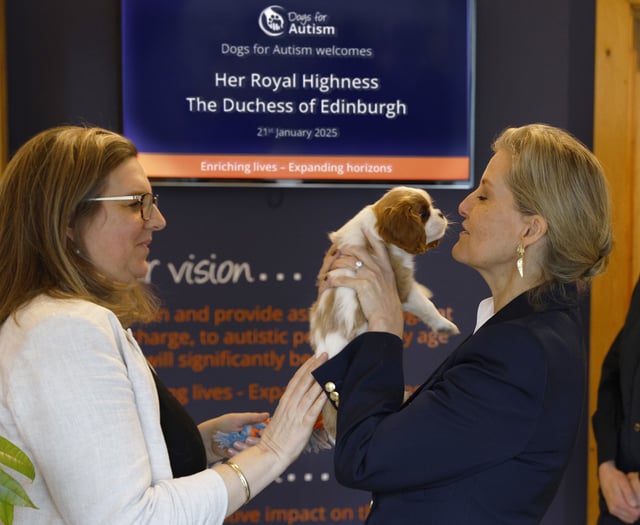 Charity to host community fun walk to launch ‘Lead the Way’ fundraiser