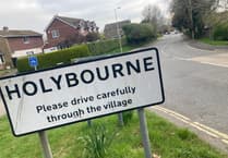 D-Day for Holybourne as parish council proposal on AGM agenda