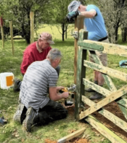 Fencing off land for pigs Wilma and Betty.