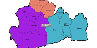 Waverley councillors claim majority support three-unitary model