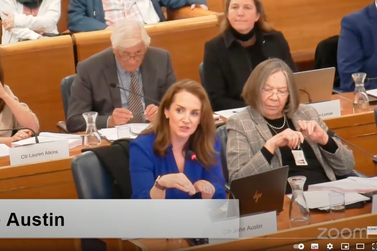 Waverley Borough Council Conservative opposition leader Cllr Jane Austin