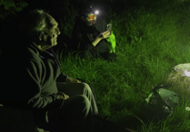 WATCH: Wrecclesham's Mothman keeps shining a light on nocturnal wildlife