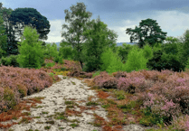 Firefighters battle fire at protected wildlife area