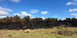 Campfire blamed for devastating wildfire on heathland