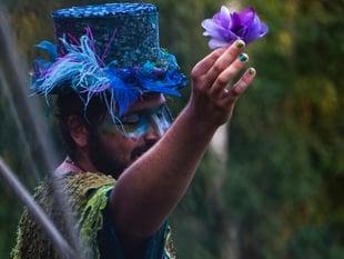 Petersfield Shakespeare Festival returns for a walk on the Wyld side