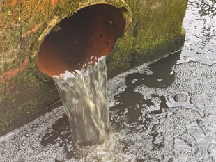 Pollution problems could scupper River Wey chalk stream dream