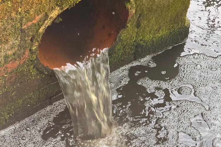 Drain water enters River Wey, Kings Pond, April 2025.