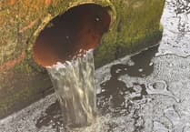Pollution problems could scupper River Wey chalk stream dream