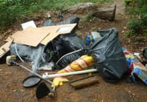 Down in the dumps: But council wants to fight back against fly-tippers