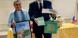 Council approves event grant applications from twinners and cricketers