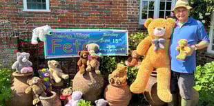 Win a teddy bear on coconut shy at Shalden's traditional village fete