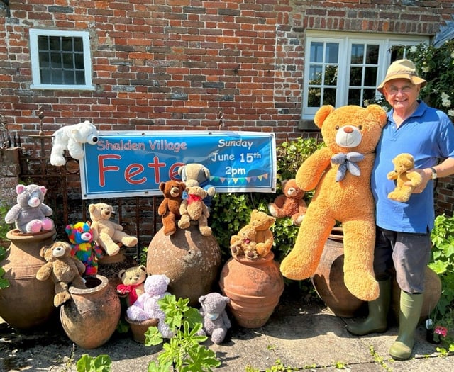Win a teddy bear on coconut shy at Shalden's traditional village fete