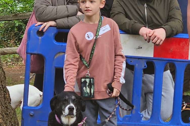 Bordon Dog Show obedient dog child