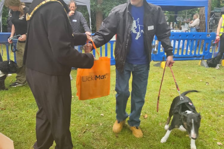 Bordon Dog Show prize winner