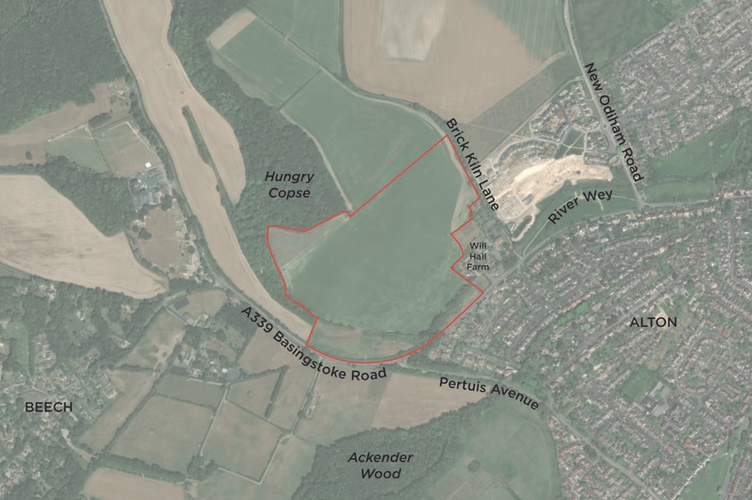 Proposed Brick Kiln Lane housing site, Alton, June 2025.