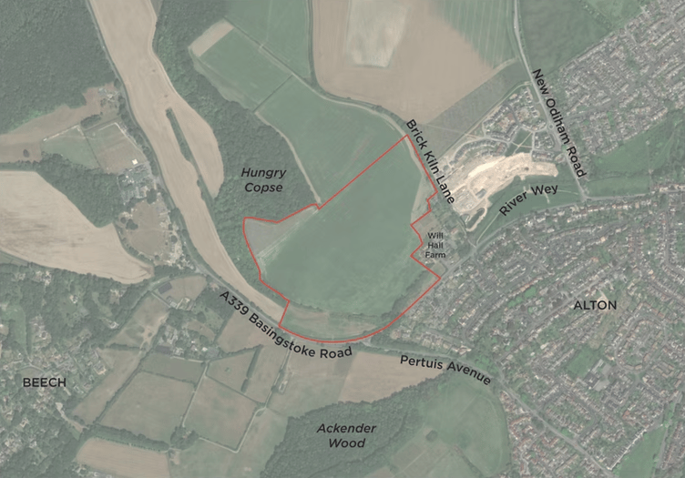 Proposed Brick Kiln Lane housing site, Alton, June 2025.