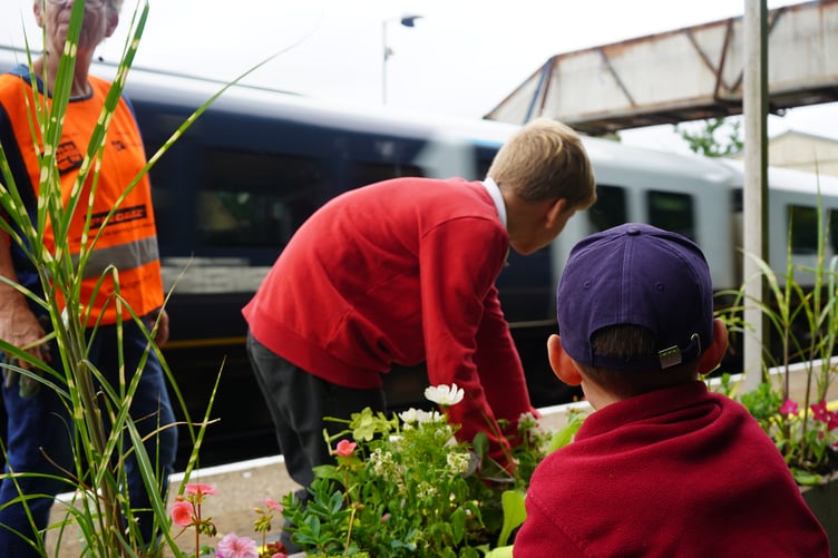 Train at Bentley Station