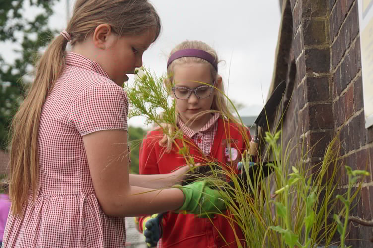 Bentley Station planting