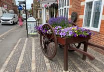 Floral Farnham shines prepares to shine for In Bloom judges