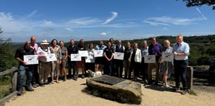 Wealden Heaths crowned new NNR in landmark conservation move