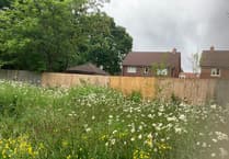 Collective effort gives wildlife a helping hand in Medstead