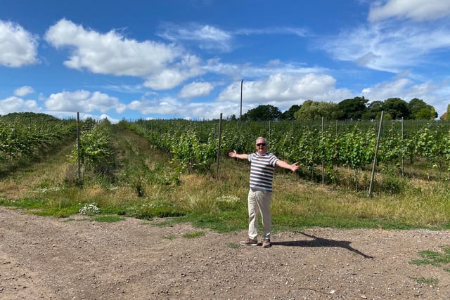 WATCH: Is everything rosé in our local wine industry?