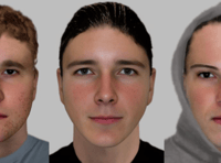 Three young men sought after goose killed and swan injured