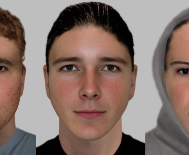 Three young men sought after goose killed and swan injured