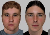 Three young men sought after goose killed and swan injured