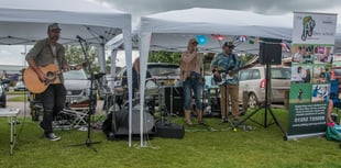 Vehicle show and family fun day in Alton to help Farnham school