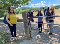 Equestrian centre faces biggest hurdle as 49 homes proposed
