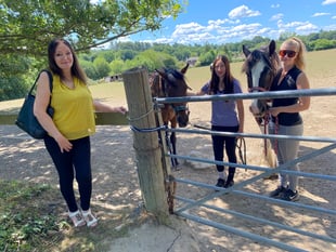 Council recommends approval for 49 homes on Rowledge equestrian site