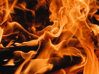 Alton firefighters tackle garden shed and fence blaze in Four Marks