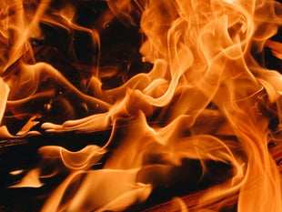 Alton firefighters tackle garden shed and fence blaze in Four Marks