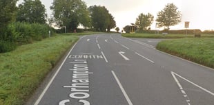 Two teenagers killed as car hits tree on Meon Valley road